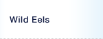 Wild Eels