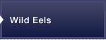 Wild Eels